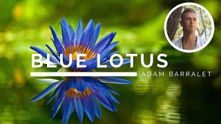 Blue Lotus  The Oil of Ascension [upl. by Alphonse]