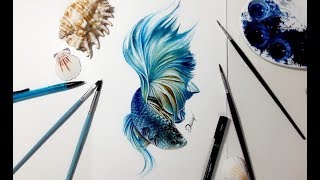 Speed drawing  BETTA FISH 【Aquarela Watercolor Speedpaint】 [upl. by Nnairak]