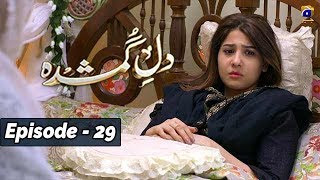 DileGumshuda  EP 29  7th Nov 2019  HAR PAL GEO DRAMAS [upl. by Magnuson]