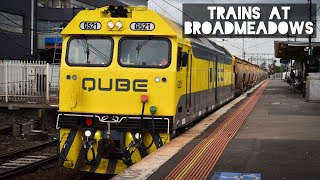 Trains at Broadmeadows  April 2022 [upl. by Langille]